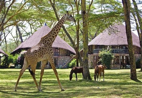 Fall in love with the breathtaking views of Kenia Magic Lodge
